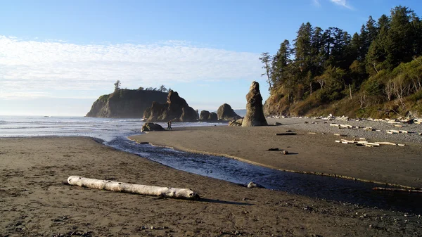 OLYMPIC NATIONAL PARK, USA, 03 OTTOBRE 2014 - Ruby Beach near Seattle - Washington — Foto Stock