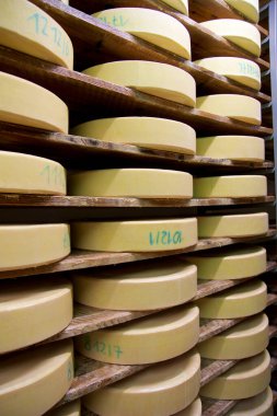 OBERSTAUFEN, ALMANY - 29 DEZ 2019: Sırayla dizilmiş peynir raflarıyla peynir mandırası deposu