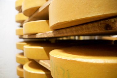 OBERSTAUFEN, ALMANY - 29 DEZ 2019: Sırayla dizilmiş peynir raflarıyla peynir mandırası deposu