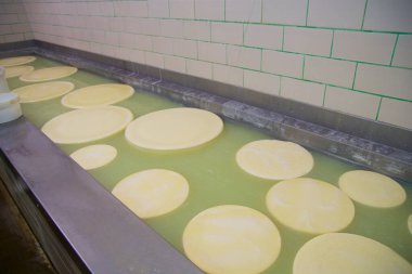 OBERSTAUFEN, ALMANY - 29 Aralık 2019: Peynirli salamuralı peynir deposu fabrikası