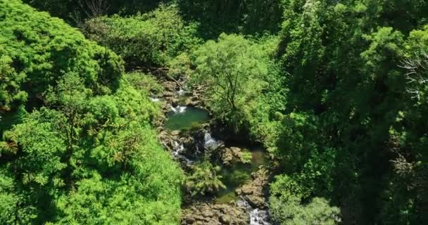 Amazing beauty of nature and waterfall — Stock Video