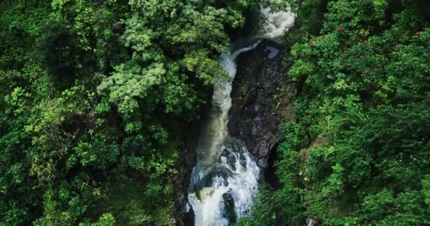 Beleza incrível da natureza e cachoeira — Vídeo de Stock