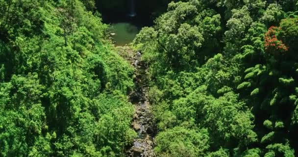 Erstaunliche Schönheit der Natur — Stockvideo