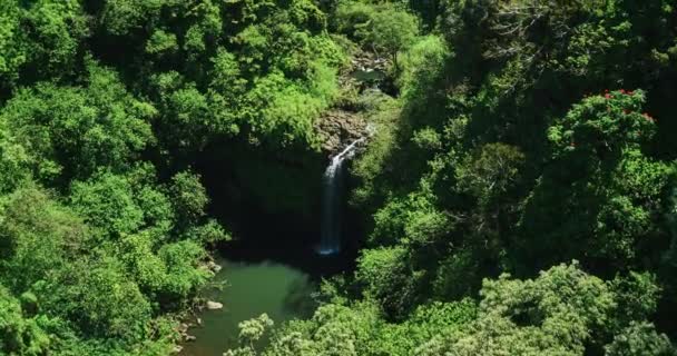 Amazing beauty of nature — Stock Video