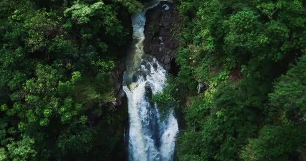 Belleza de la naturaleza y cascada — Vídeos de Stock