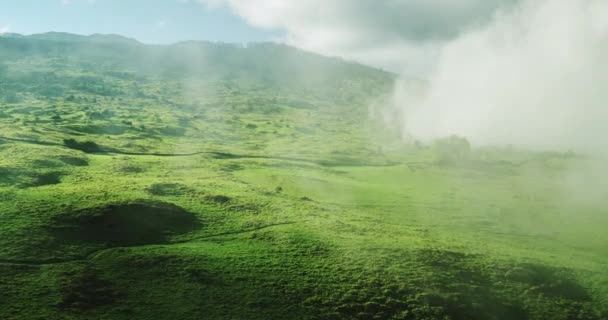 Hermosos campos en la niebla — Vídeos de Stock