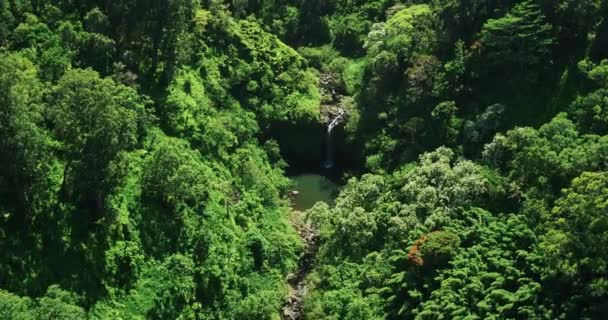 Verbazingwekkende schoonheid van de natuur en waterval — Stockvideo