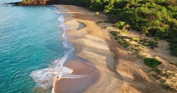 Hawaii plajda tünelleri — Stok video