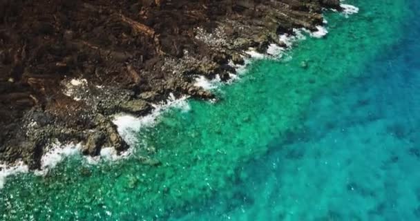 Βραχώδης παραλία στον Ειρηνικό Ωκεανό — Αρχείο Βίντεο