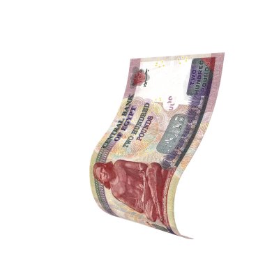 Mısır 200 Pound Düşen Defter Parası, yüksek kaliteli para birimi finans, eğitim, 3D modelleme, hisse senedi. Kaynaklar ve küresel parasal kimlik ve değer.