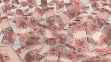 Brezilya 10 Reais Döviz Defteri Lots, yüksek kalite para birimi finans, eğitim, 3D modelleme, hisse senedi. Kaynaklar ve küresel parasal kimlik ve değer.
