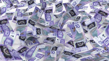 Kanada 10 Dolarlık Para Birimleri, yüksek kalite para birimi finans, eğitim, 3D modelleme, hisse senedi. Kaynaklar ve küresel parasal kimlik ve değer.