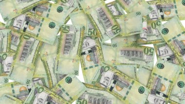 Suudi 50 Riyals Pound Ground Finans, yüksek kaliteli para birimi finansmanı, finans, eğitim, 3D modelleme, hisse senedi. Kaynaklar ve küresel parasal kimlik ve değer.