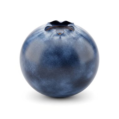 Yaban mersini Tek Taze İzole, grafik kaynakları, sanat eserleri, 3D modelleme ve stok illüstrasyonu için yüksek kaliteli nesneler.