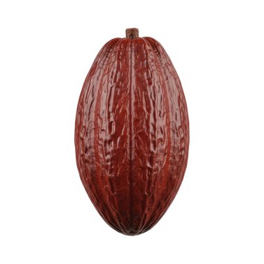 Kakao Kabuğu Kırmızı Bütünüyle İzole, grafik kaynakları, sanat eserleri, 3D modelleme ve stok illüstrasyonu için yüksek kaliteli nesneler.