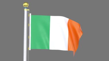 İrlanda Animasyon Kapanış Döngüsü, Ulusal kimlik, kültür, gurur ve küresel tanınmayı temsil eden yüksek kaliteli 3D canlandırma.
