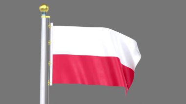 Polonya Animasyon Kapanış Döngüsü, Ulusal kimlik, kültür, gurur ve küresel tanınmayı temsil eden yüksek kaliteli 3D canlandırma.