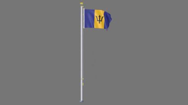 Barbados Animasyon bayrağı, yüksek çözünürlüklü 3D görüntü döngüsü dijital olarak tasarlanmış bir nesne veya simgenin bayrağı, temiz beyaz veya katı renkli bir arkaplanda sunulmuştur.