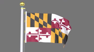 ABD Maryland Animasyon Bayrağı Yüksek çözünürlüklü, dijital olarak tasarlanmış bir nesne veya simgenin video döngü bayrağı, temiz beyaz veya koyu renkli bir arkaplan üzerinde sunulur.