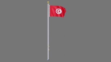 Tunus Animasyon Bayrağı, Ulusal Kimlik, Kültür, Gurur ve Küresel Tanınmayı temsil eden Yüksek Kaliteli Gerçekçi 3D Video Hazırlama.