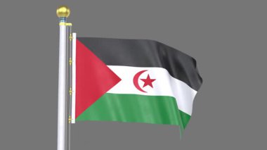 Sahra Arap Demokratik Cumhuriyeti Animasyon Bayrağı, Ulusal kimlik, kültür, gurur ve küresel tanınmayı temsil eden yüksek kaliteli 3D video canlandırması.