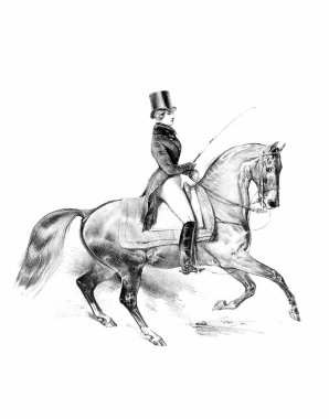 Beyaz kağıt üzerinde at ve binici eli kalem çizimi, detaylı çizim sanatı ile binicilik çizimi.