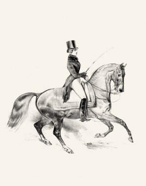 At ve binici eli bej kağıda kalem çizimi detaylı çizim sanatıyla binicilik çizimi.