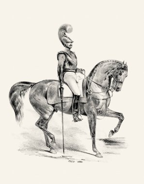 At ve binici eli bej kağıda kalem çizimi detaylı çizim sanatıyla binicilik çizimi.