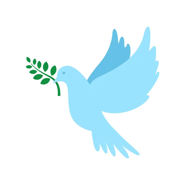 Голубь мира и оливковой ветви — стоковый вектор
