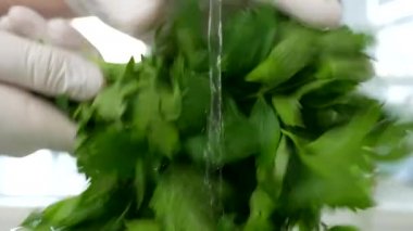 Koruyucu Eldiven Giyen, Lavaboda Taze Maydanoz Yıkan Bir Kişinin Bulanık Görüntüsü