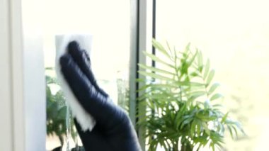 Temizlikçi işi, koruyucu eldivenler giyme, cam temizleme sprey köpük deterjanı.