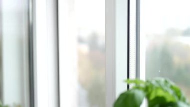 Ofisten Pencereyi Kapayan Bir Adamın Eli