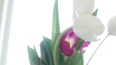 Bir demet lale, Güzel Renkli Çiçekler, Doğum günü Çiçeği Düzenleme.