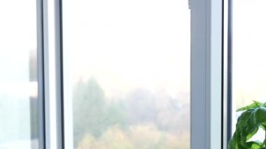 Ofisten Pencereyi Kapayan Bir Adamın Eli