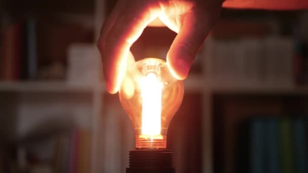 A Hand Turning on a Light in the Room, Screwing in a Socket One Incandescent Light Bulb with Warm Light. — Stock Video