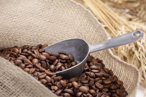 Granos de café en una bolsa — Foto de Stock