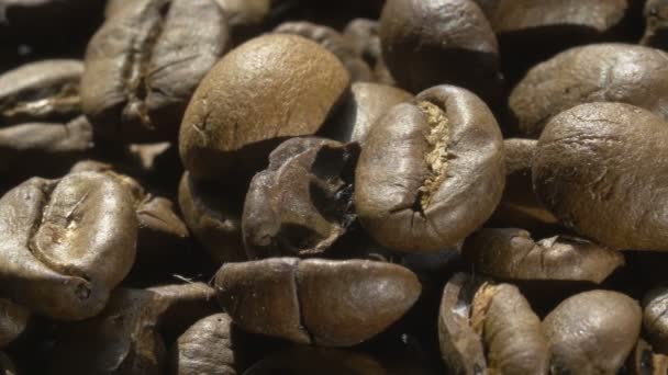 Closeup of coffee beans — Stock Video