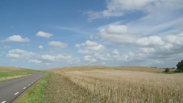 Timelapse clouds fly over field — Stock Video