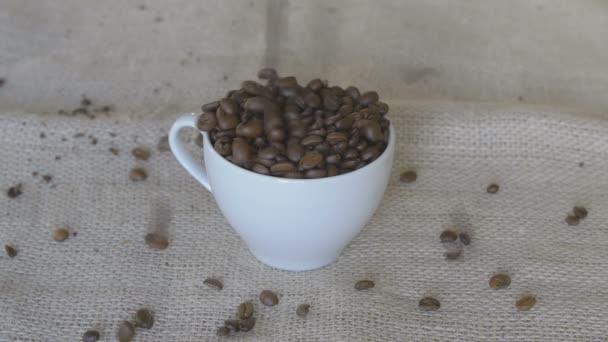 Verter granos de café en una taza — Vídeos de Stock