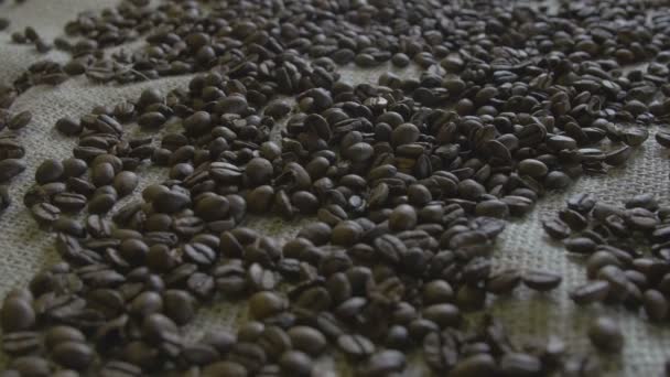 Mouvements de caméra le long des grains de café — Video
