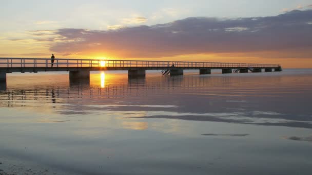 Solnedgång med en bro — Stockvideo