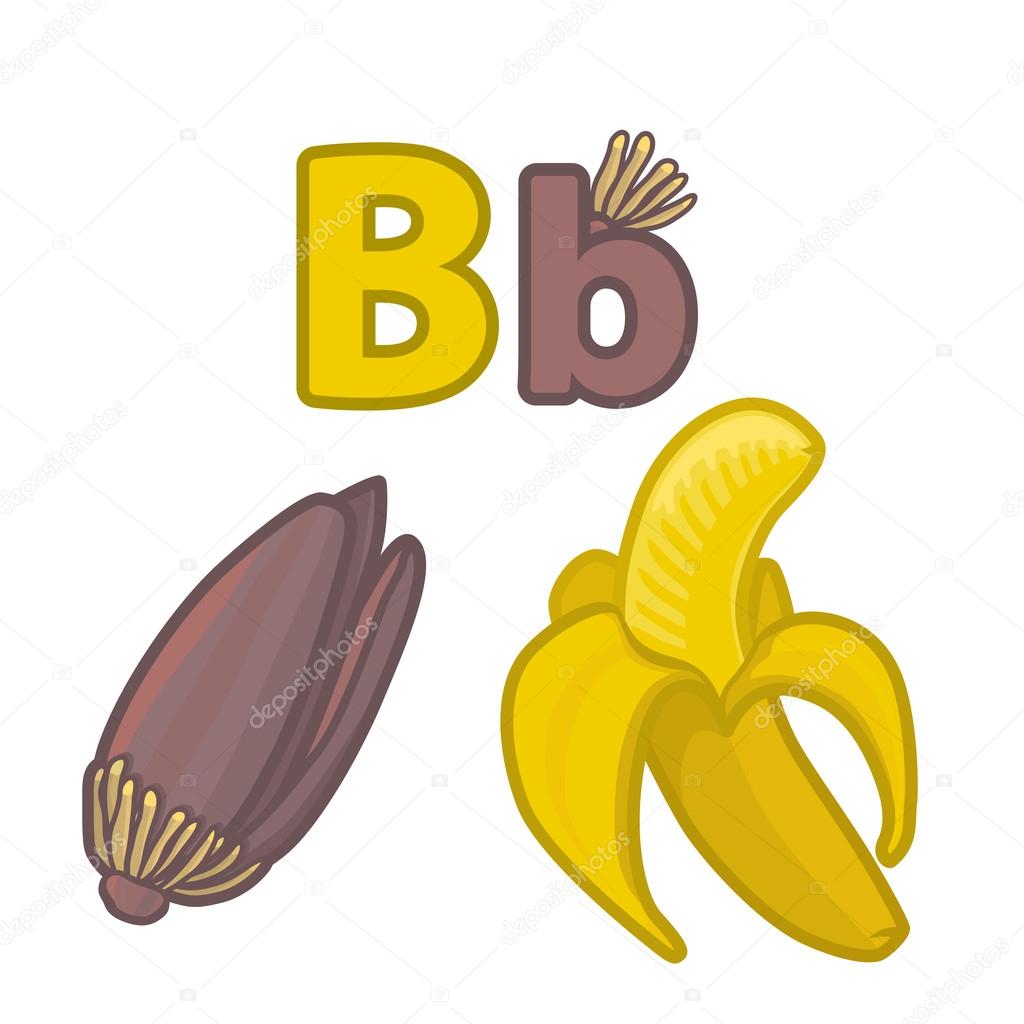 Alfabeto frutta carino nel vettore Lettera B Disegno di alfabeto in stile gioco colorato