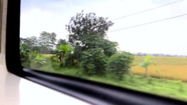 Tren penceresinden bak. Uzun mesafeli trenin penceresinden güzel bir manzara, yeşil pirinç tarlaları yayılıyor ve pirinç tarlalarının kenarındaki gölgeli ağaçlar hafif bir yağmur altında.