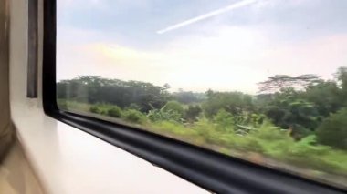 Tren penceresinden bak. Uzun mesafeli trenin penceresinden güzel bir manzara, yeşil pirinç tarlaları yayılıyor ve pirinç tarlalarının kenarındaki gölgeli ağaçlar hafif bir yağmur altında.