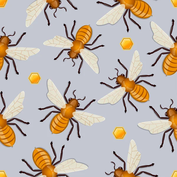 蜂蜜蜜蜂的模式 — 图库矢量图片