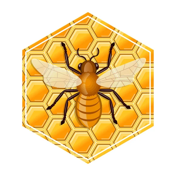 蜜蜂坐在蜂蜜梳子上 矢量说明 — 图库矢量图片