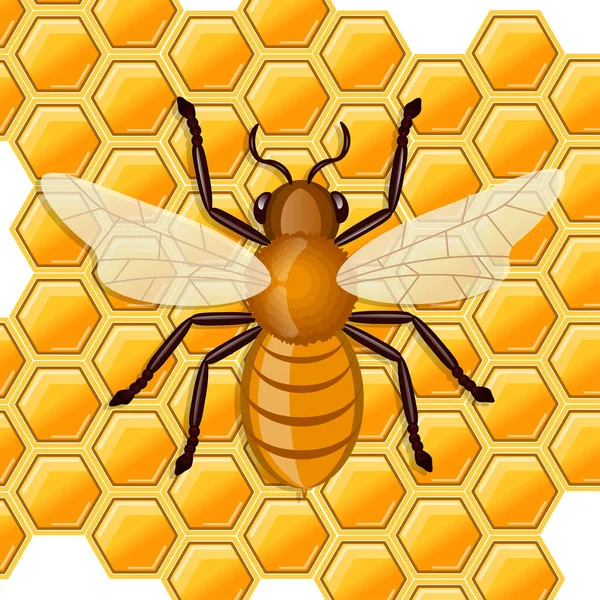 Bees Sitting Comb Honey Vector Illustration — Stock Vector