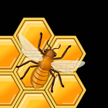 Arılar bal tarağının üzerinde oturuyorlar. Vektör illüstrasyonu. 