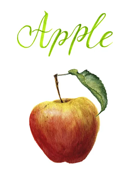 Aquarell Apfel mit Blatt und Schriftzug "Apfel" — Stockfoto