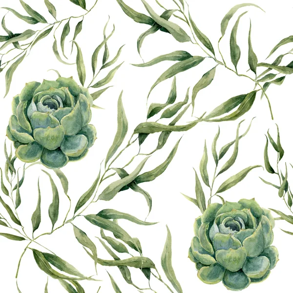 Acuarela suculentas y hojas de eucalipto patrón sin costuras sobre fondo blanco. Textura floral para diseño, textil y fondo . — Foto de Stock